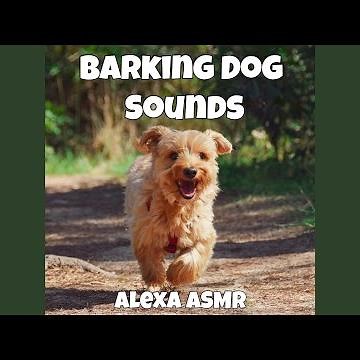 Angry Dogs Barking