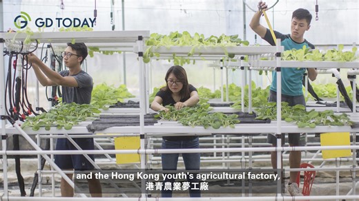 1.6K views · 21 reactions | #Guangdong | On October 21, to...