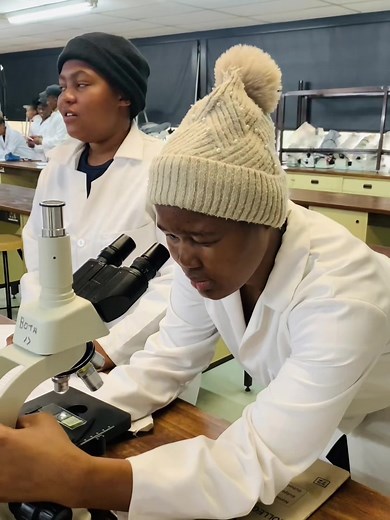 Using a Light Microscope for Biology Practicals