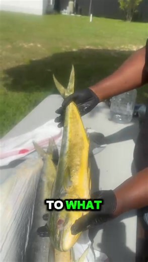 Get some today. | Dominica Breaking News
