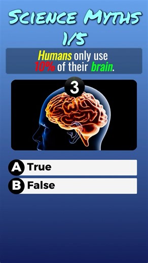 Science Myths Busted Quiz