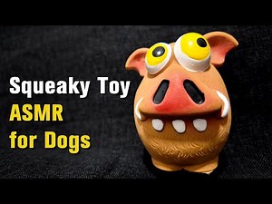 Squeaky Toy ASMR for Dogs 🐕