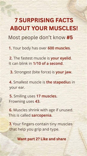 7 Surprising Facts About Your Muscles You Didn’t Know