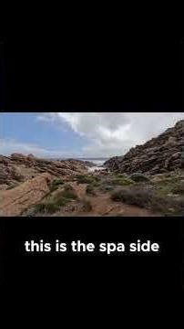 Canal Rocks - The Perfect Summer Snorkeling Spot