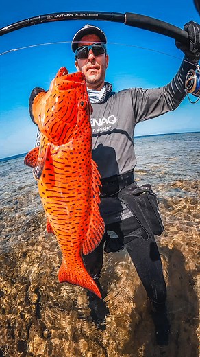 Mohssine lachkham on Instagram: "Catch & Cook the most delicious fish in the Red Sea 😍 With @coast_anglers @islam_akawy Rod : Zenaq Defi Muthos Accura 100 HHH @zenaq Reel : Daiwa Saltiga @daiwa_japan Hook : BKK SF REEFMASTER NP 5/0 @bkk_arabia Apparel : T-shirt & Cap @zenaq #fishing #nature #naturelovers #sea #cooking"