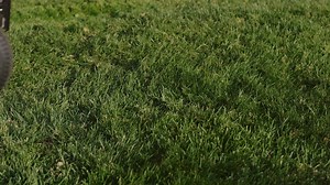 3.2K views · 54 reactions | IntelliPower engine technology gives XT Enduro Series lawn tractor owners more power when they need it most. *Special financing plans(s) available. https://bit.ly/3c8xxlj | Cub Cadet | Facebook