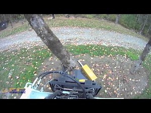 Timberline TB-03 Tree Shear Attachment for Skid Steer Loader - Demo