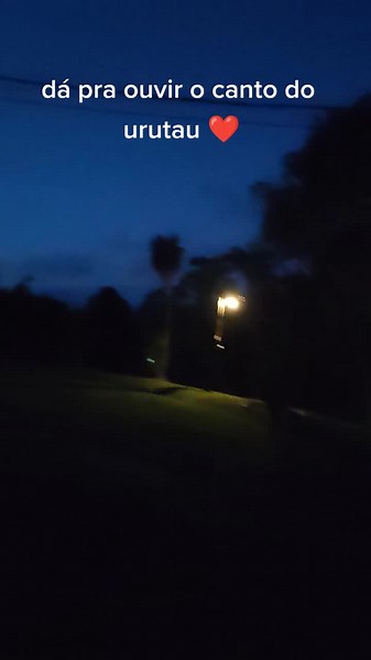 Ouça o Canto do Urutau: Uma Experiência Única
