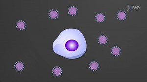 Video: Immunodeficiency Diseases