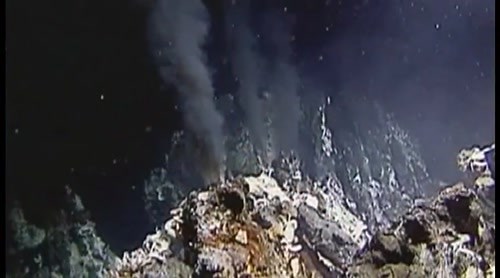 Census of Marine Life Video Release