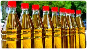 मिलावटी तेल खा रहे हैं एक-चौथाई लोग, विटामिन के नाम पर मिलाए जा रहे नशीले केमिकल