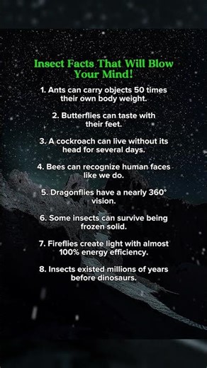 Amazing Facts About Insects That Will Blow Your Mind