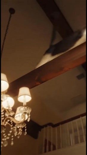 Feline Fun at Thanksgiving Dinner! Feline Fun at Thanksgiving Dinner! Generated using Kling AI . . . (For entertainment purposes only. Consult professionals if guidance on activities is presented. No brand affiliation is implied if any are shown. If inspired by true events, creative adaptations may be included. Content may include public footage.) | Fabiosa Daily