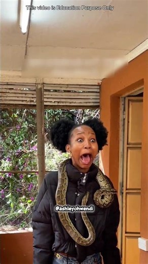 Python Moment Will Scare You 😱 #shortsvideos (Credit - @ashleyohwendi)