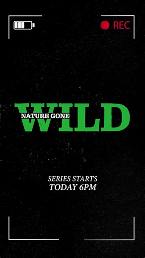 2.4K views · 20 reactions | Experience the wild side of nature like you've never seen before. From close encounters with deadly animals to the extreme forces of nature, feel the thrills and chills in 'Nature Gone Wild', premiering #Today at 6 PM only on HistoryTV18! #NatureGoneWild | HISTORY | Facebook