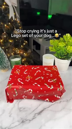 Medivet STORE on Instagram: "It’s not just a photo… It’s a memory you can build 🧱❤️ Turn your favorite photo with your pets into a one-of-a-kind brick artwork made just for you. 🎁 100% personalized 🚚 Free Delivery ✨ Because some memories deserve to be displayed forever #CustomGift #PetLovers #BrickArt #PersonalizedGift"