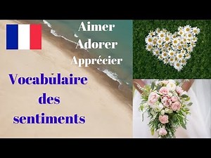 I LOVE, I ADORE, I APPRECIATE IN FRENCH (VOCABULARY OF FEELINGS)