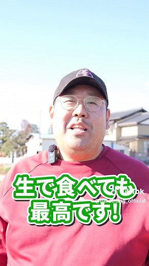 春キャベツを美味しく育てるためのコツ