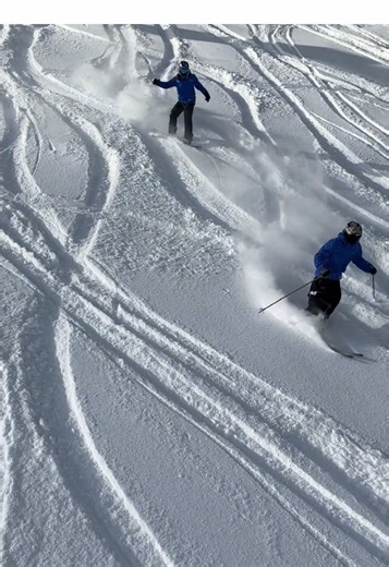 Experience Fresh Powder Skiing This New Year
