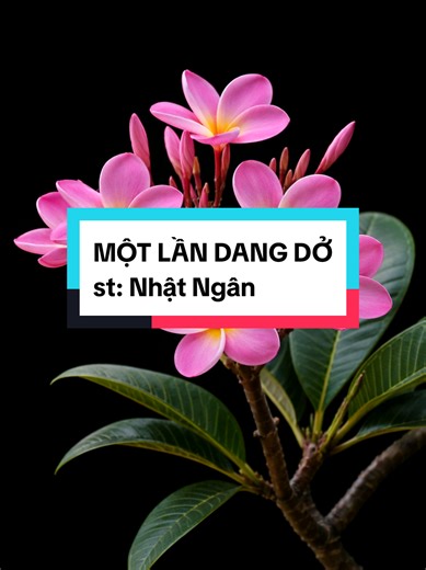 MỘT LẦN DANG DỞ Sáng tác: Nhật Ngân #nhaclinh1950 #nhachaymoingay #nhactrutinh #nhacbolero #nhactamtrang