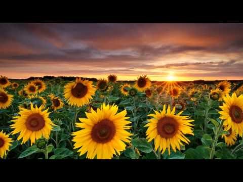 When It's All Been Said And Done - Robin Mark (Lyrics) HD