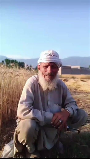 The Best Funny Videos to Brighten Your Day