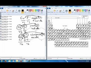 Module 5 Assignment Questions 11 - 20