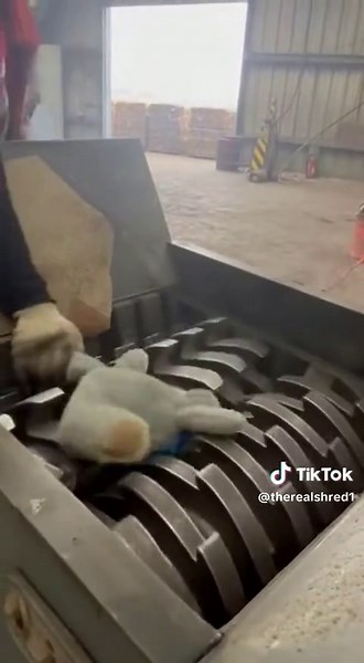 Creative Ways to Crush a Teddy Bear