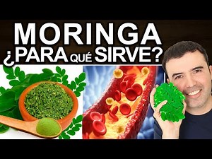 Moringa Tea - How to Make It, Benefits, Dosage and Contraindications