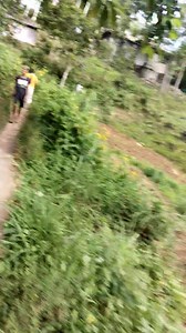 3.3M views · 97K reactions | Lord please Help us from Mt. Kanlaon Volcanic Eruption....沈 @ Sitio Mananawin Brgy.Masulog Canlaon City Negros Oriental... #fbreelsfypシ゚viralvideo #fypシviralシ2025 #starseverywhereシシ #facebookreelsviral @highlight #Thankyoulordforyourcareallpeople@Negros Island♥️ | Sadrack Bustillo | Facebook