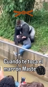 When your escape works by pure luck 🤣🤣🤣 | BJJ World