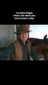 Enhanced Foal Training | Imagine A Horse