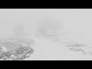 Creepy Snow Landscape Fog - Horror Winter Scene
