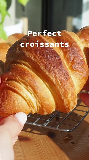 Baking Mini Croissants from Scratch
