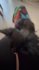 8.9K views · 886 reactions | I am so grateful to the PFT Village....