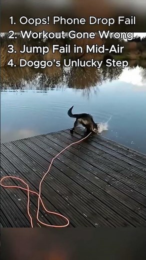 Funny Pet Fails That Went Wrong 😂🐾