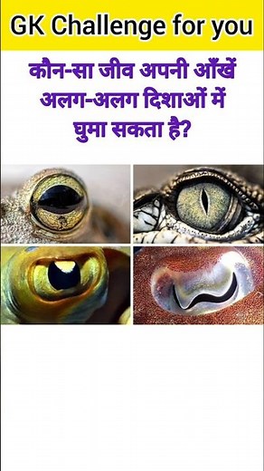 GK Questions😱💯||GK Questions and answers🙄💥||GK in English❤️‍🔥🙄|| #gkquestion #gk #mcq #mcqs #gkfacts