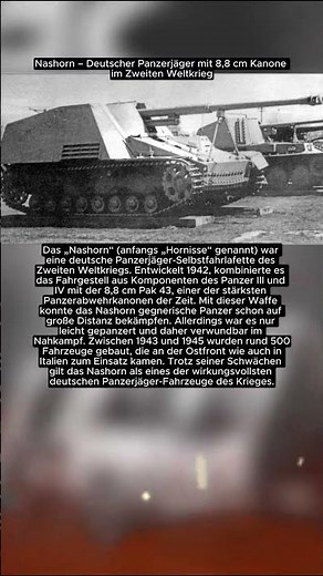 Nashorn – Deutscher Panzerjäger mit 8,8 cm Kanone im Zweiten Weltkrieg