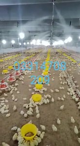 Poultry humidity control mist fog, High pressure fogging mist system, home mist dust and pollen control, restaurant misting, humidity control system, outdoor cooling, industry dust control system, conveyor dust control, construction site dust control, stone crushing mist system dust control Water mist and cooling system 03314708209 Click below to message on WhatsApp https://wa.me/923314708209 | Mist System | Facebook