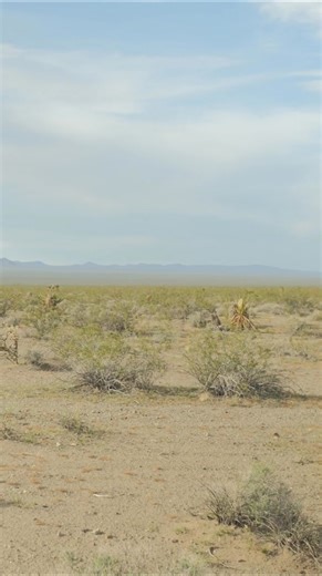 3.4K views · 74 reactions | Okay I’m going to stop making memes for a...