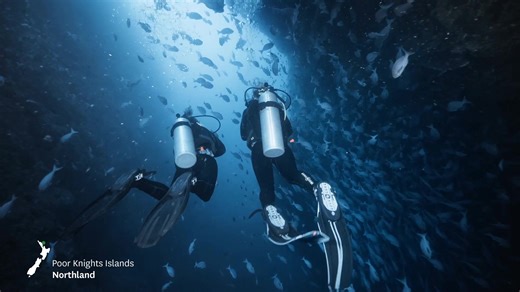 Go on an experience of a lifetime that only New Zealand can offer, onboard an airline that does it best - Air New Zealand. | Air New Zealand