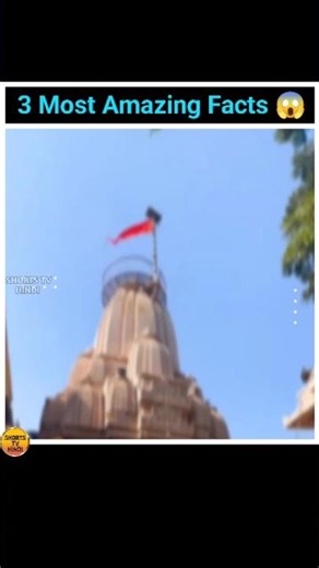 3 Most Amazing Facts😱 Top 3 Amazing Facts 😱 #shorts #facts #shortsfeed #viral