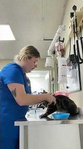 Ingle/Vogt,Makella. Task 2