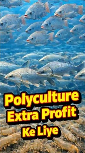 Smart Farmer Polyculture Ka Game khelte Hai - Profit Kaise Badhaye # 28