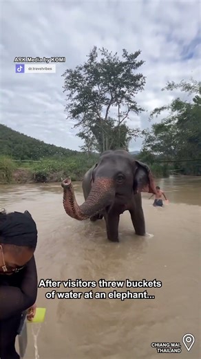 Splash zone incoming! 🐘💦