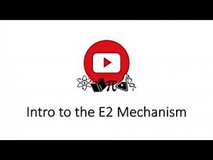 Introduction to the E2 Mechanism