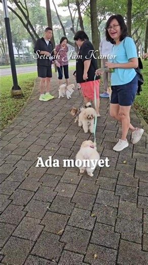 Ada Monyet 🐒🌼🌿 #SetelahJamKantor #SetelahPensiun #AfterRetirement #SlowLiving