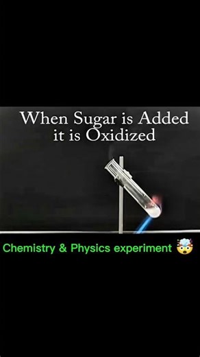 Potassium Chlorate: A Strong Oxidizing Agent 🤯🤯🧪