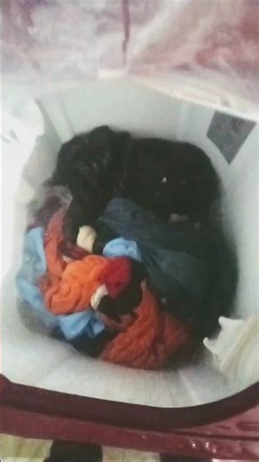 How does a washing machine work? 🤯