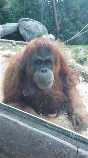 San Diego Zoo